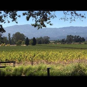 Meet your Posher, Sheila